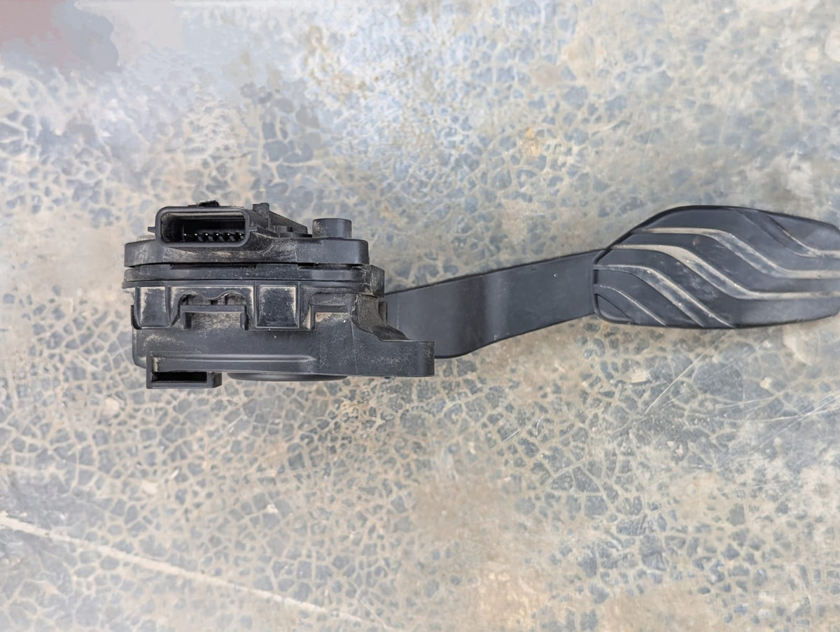 Renault Koleos 2.5 Atm 2017-2023 Pedal Acelerador