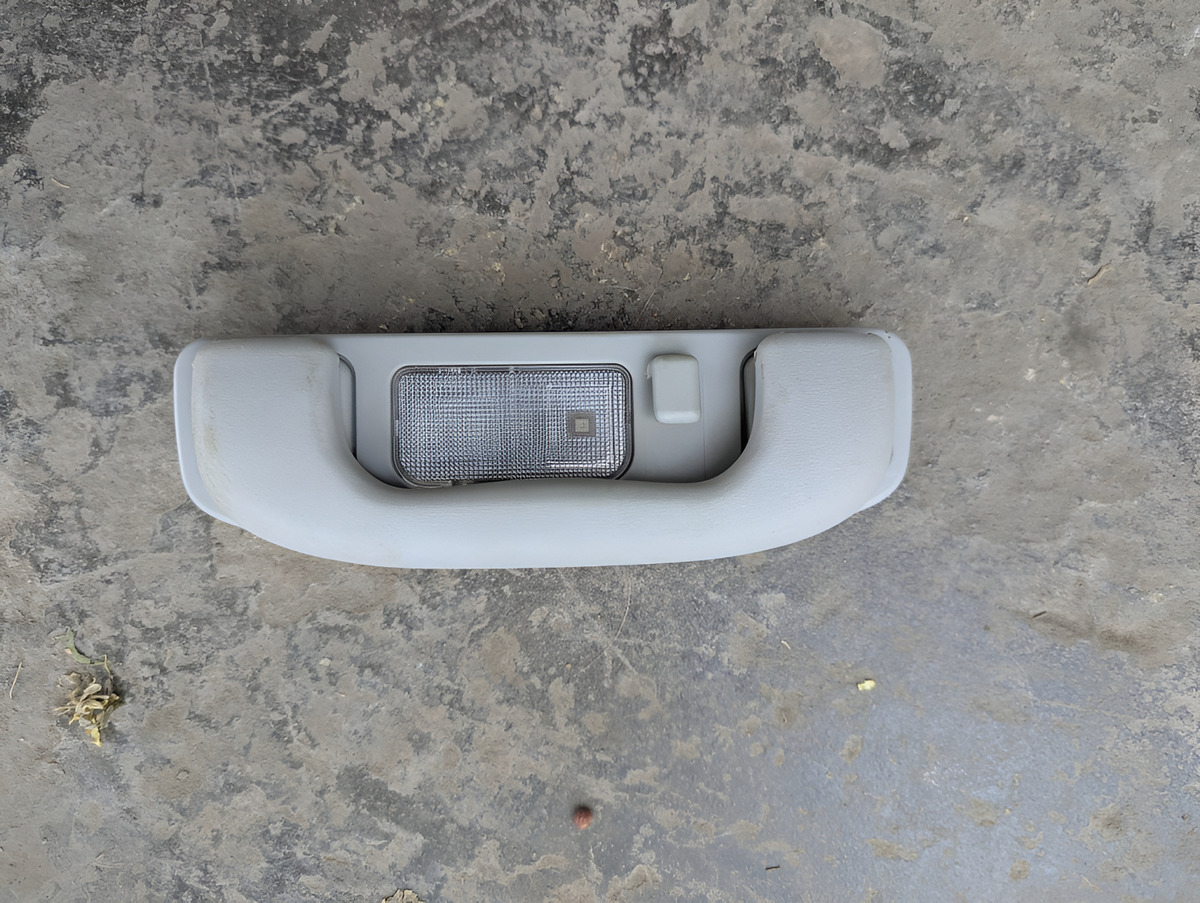 Mg Rx5 2023-2025 Luz Agarradera Techo Izquierda