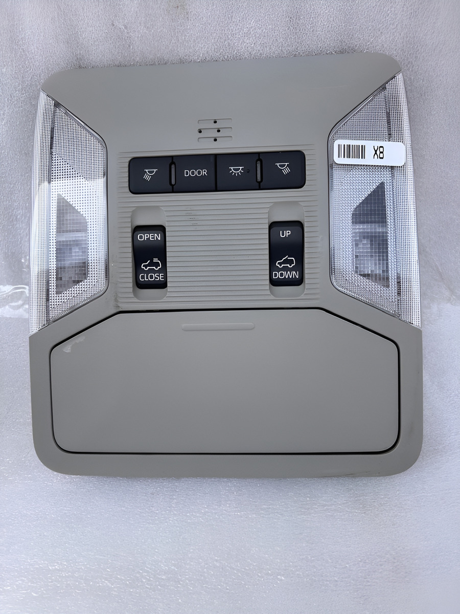 Luz Interior Central Toyota Rav4 2019-2024 Usado Original 2