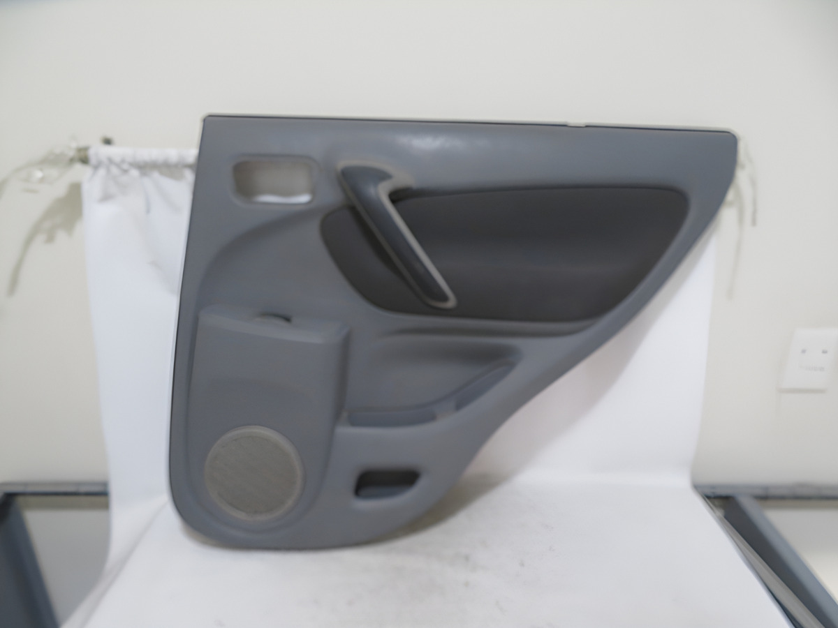 Tapa Vestidura Puerta Trasera Derecha Rav4 2005