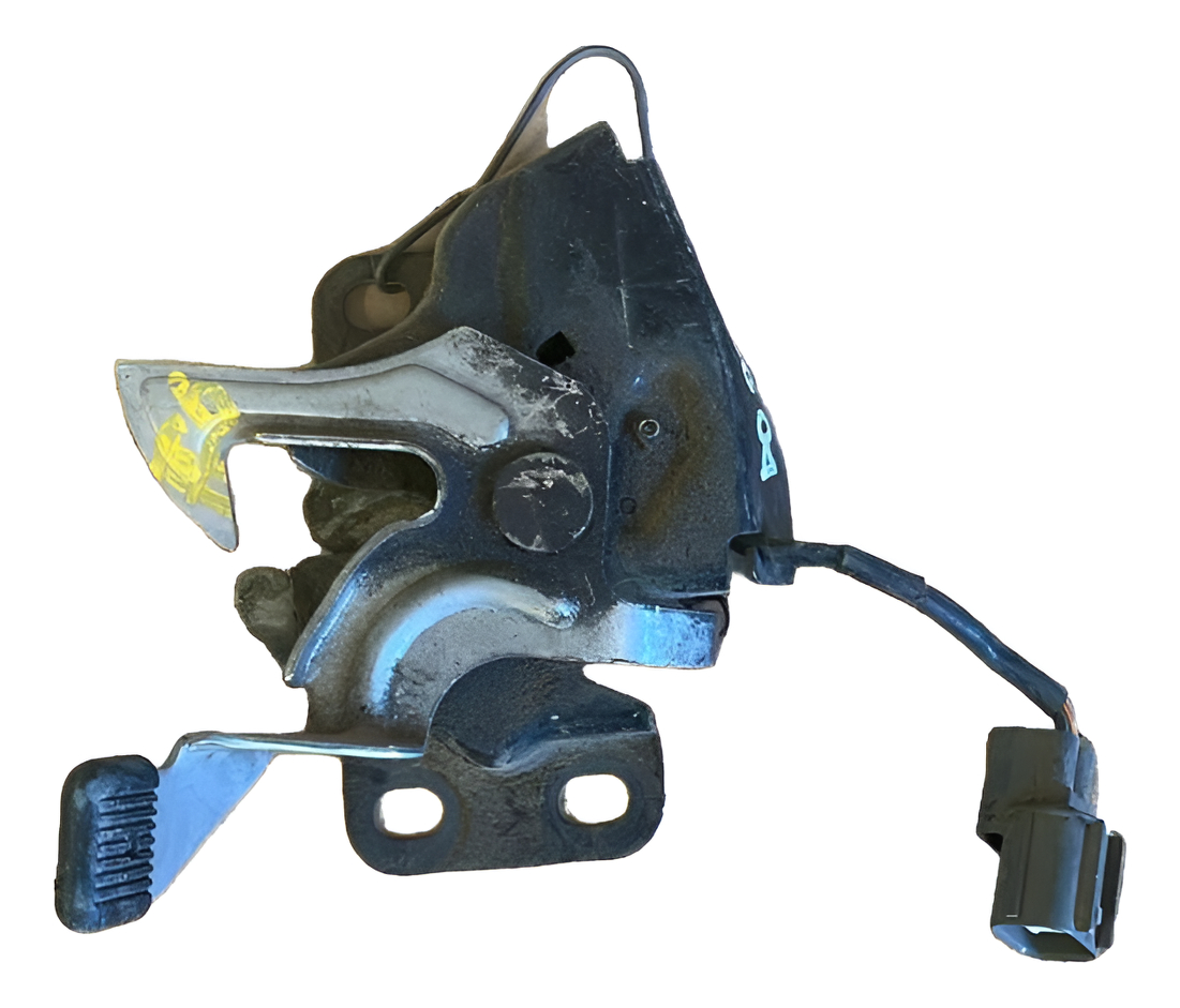 Chapa De Cofre Honda Accord 2003-2006 Usado Original