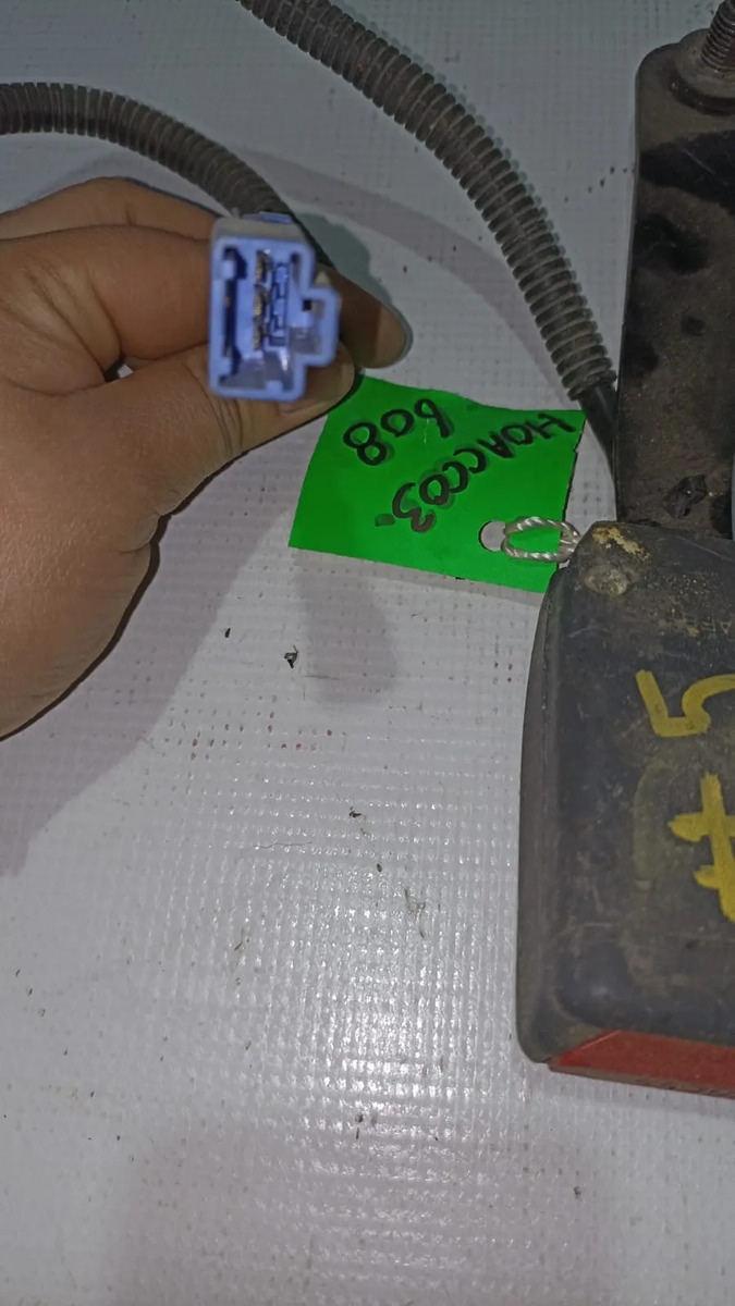 Broche De Cinturón Del Rh Honda Accord 2003-2006 Usado