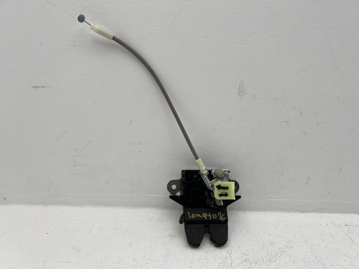 Chapa Cajuela Hyundai Sonata 2015-2016 2017 Original