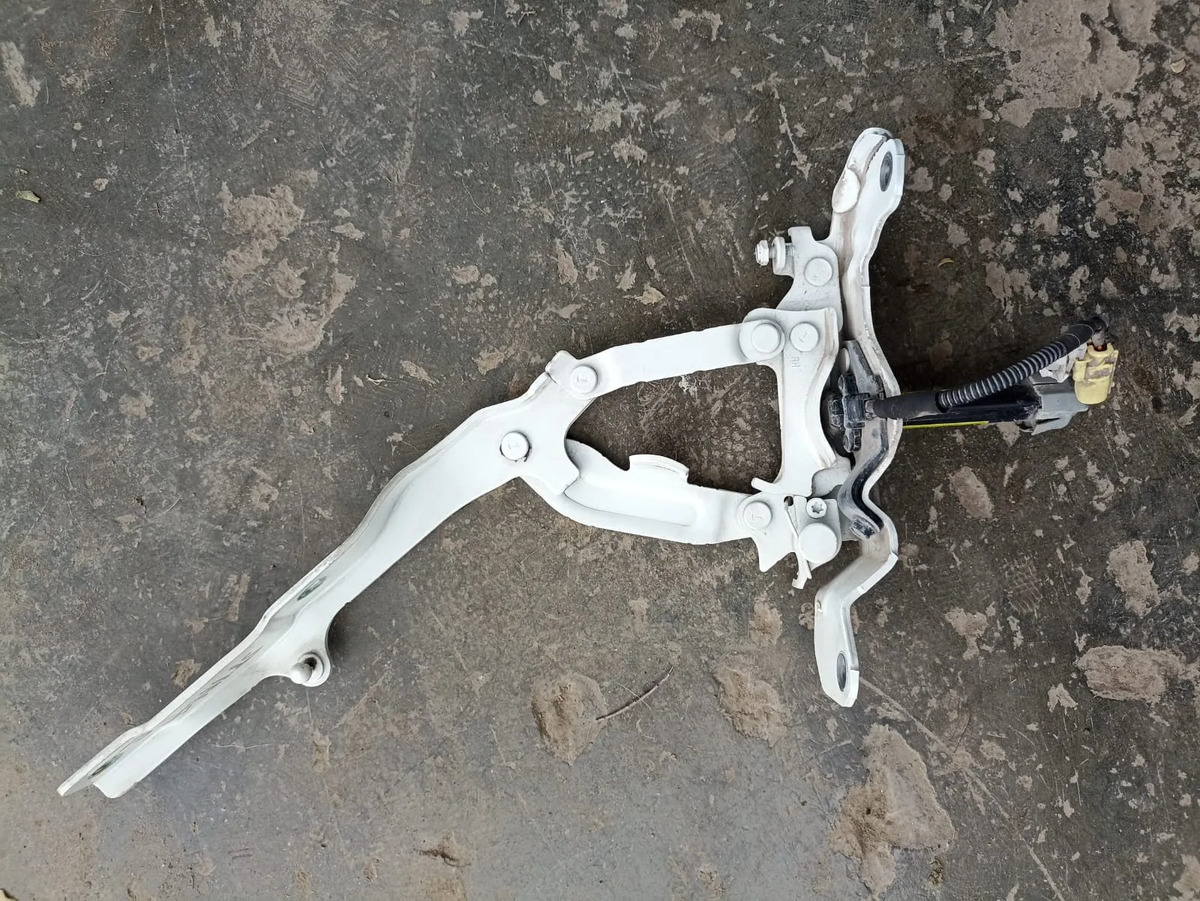Kia Stinger (17-22) Bisagra De Cajuela Lado Derecho