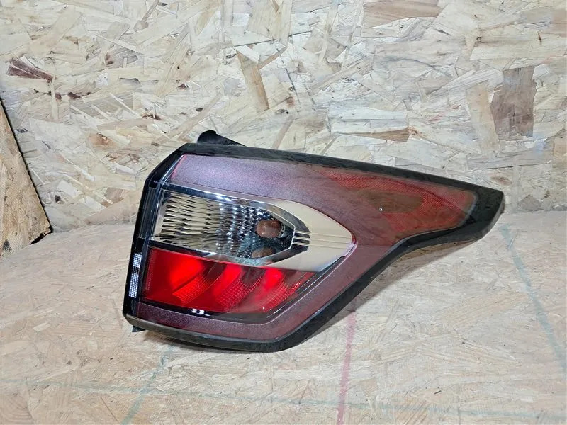 Calavera Exterior Derecho(a) Ford Escape 2019 5 Puertas
